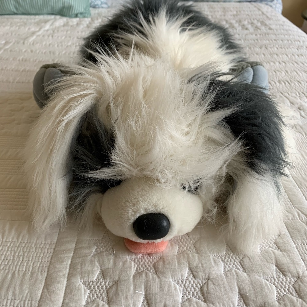 Heritage English Dog